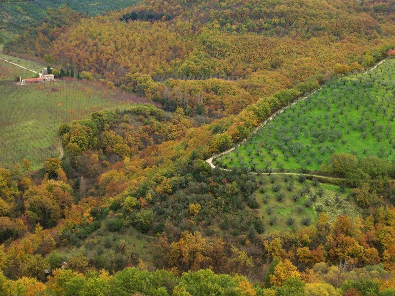 Sabina sublime-Dettagli d''autunno